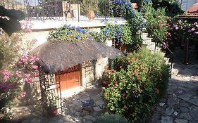 Oleander Stone House